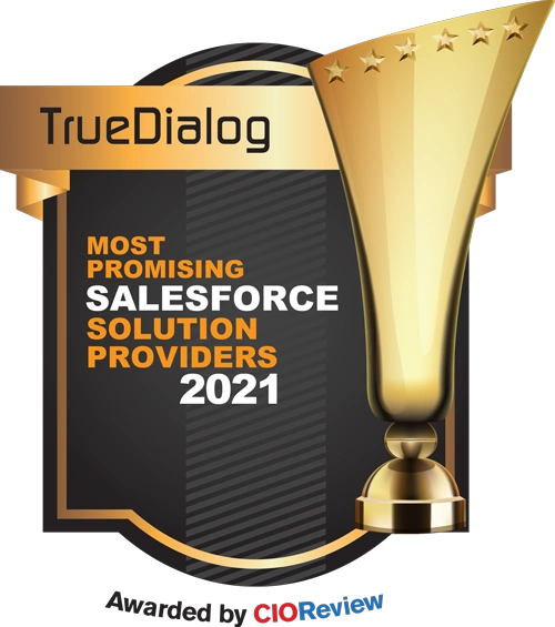 Salesforce CIO Award
