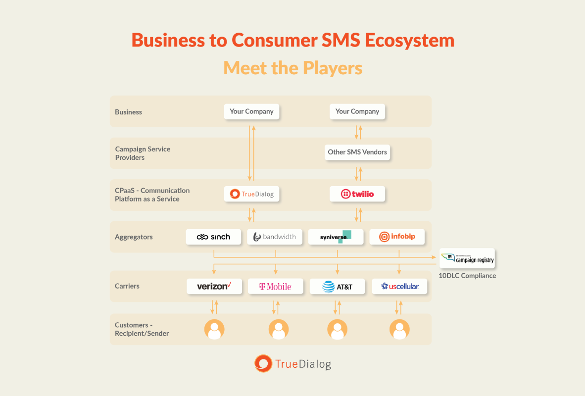 Meet the Players in the SMS Ecosystem: How Long Code Business Texts Reach Your Audience