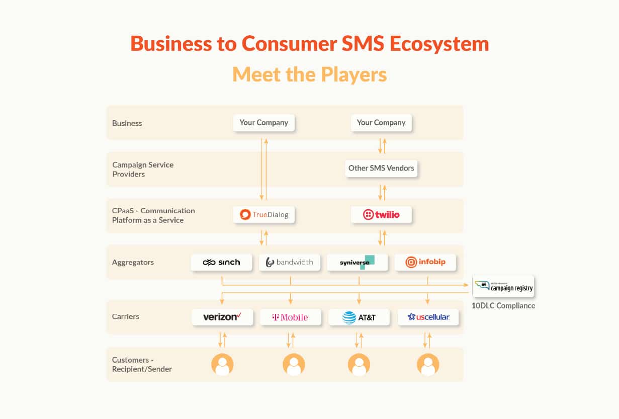 Meet the Players in the SMS Ecosystem: How Long Code Business Texts Reach Your Audience
